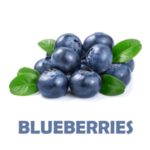 BLUEBERRIES1