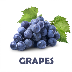 GRAPES1