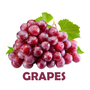 GRAPESR1