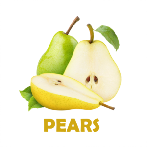 PEARS1